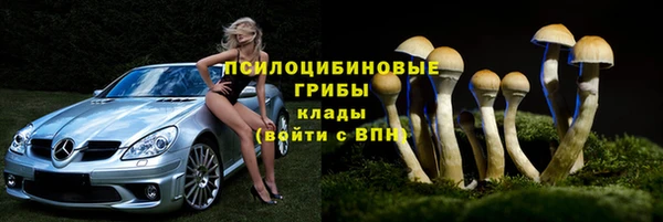 стаф Магас