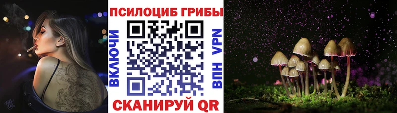 кракен tor  площадка состав  Галлюциногенные грибы мицелий  Славск 
